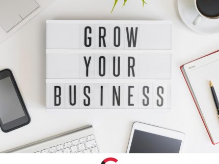 LLC Startup Package - Multiple Members
